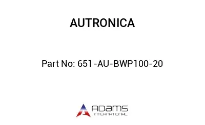 651-AU-BWP100-20