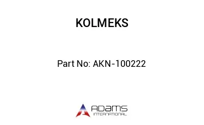 AKN-100222