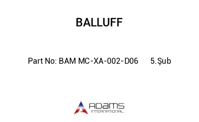 BAM MC-XA-002-D06	5.Şub								