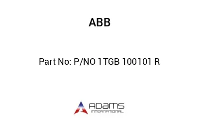 P/NO 1TGB 100101 R