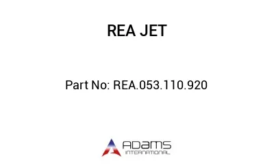 REA.053.110.920