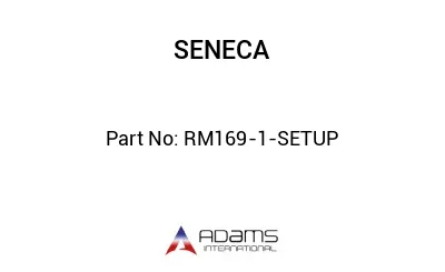 RM169-1-SETUP