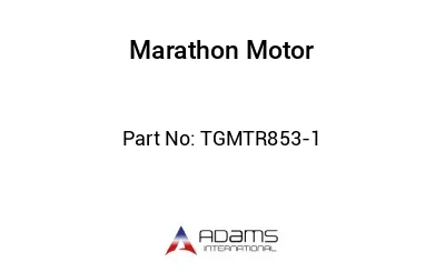 TGMTR853-1